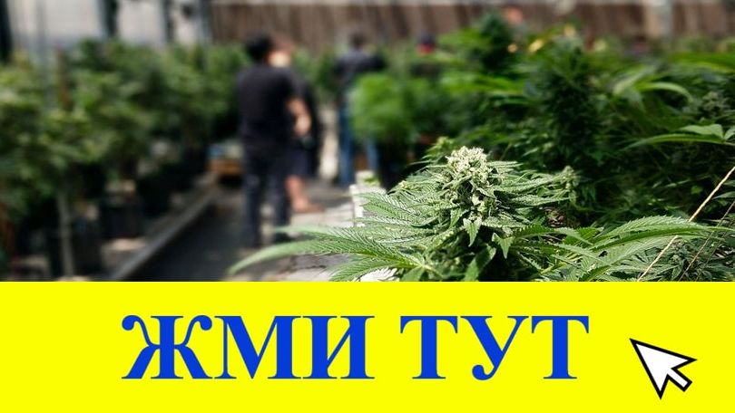 Купить наркотики в Никольске